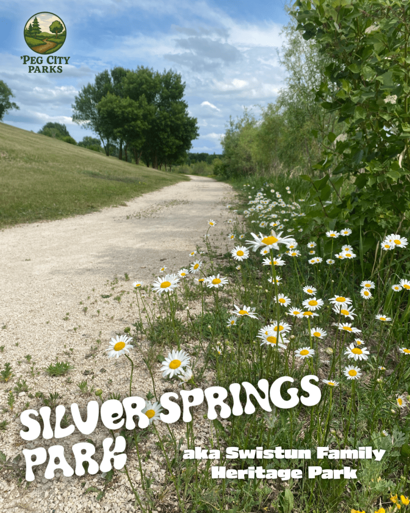 Image of a trail with daisies in Silver Springs aka Swistun Family Heritage Park