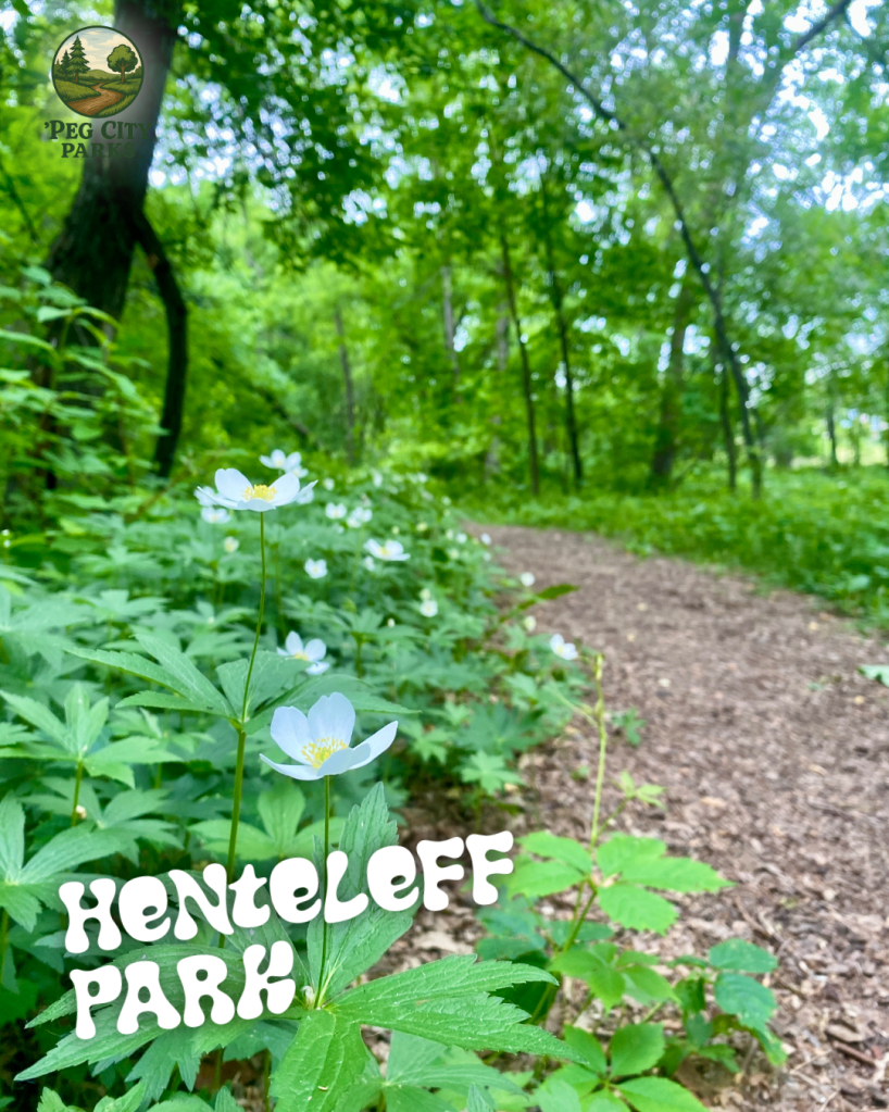 Image of a trail with flowers and greenery at Henteleff Park