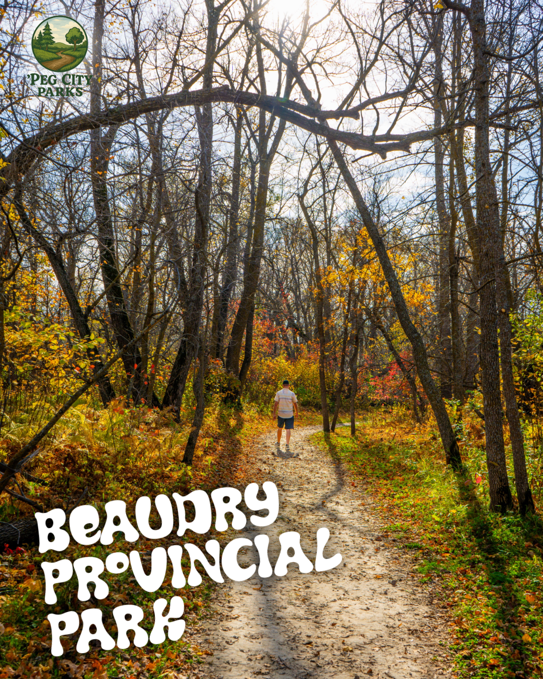 Image of a hiker on a trail in autumn in Beaudry Provincial Park
