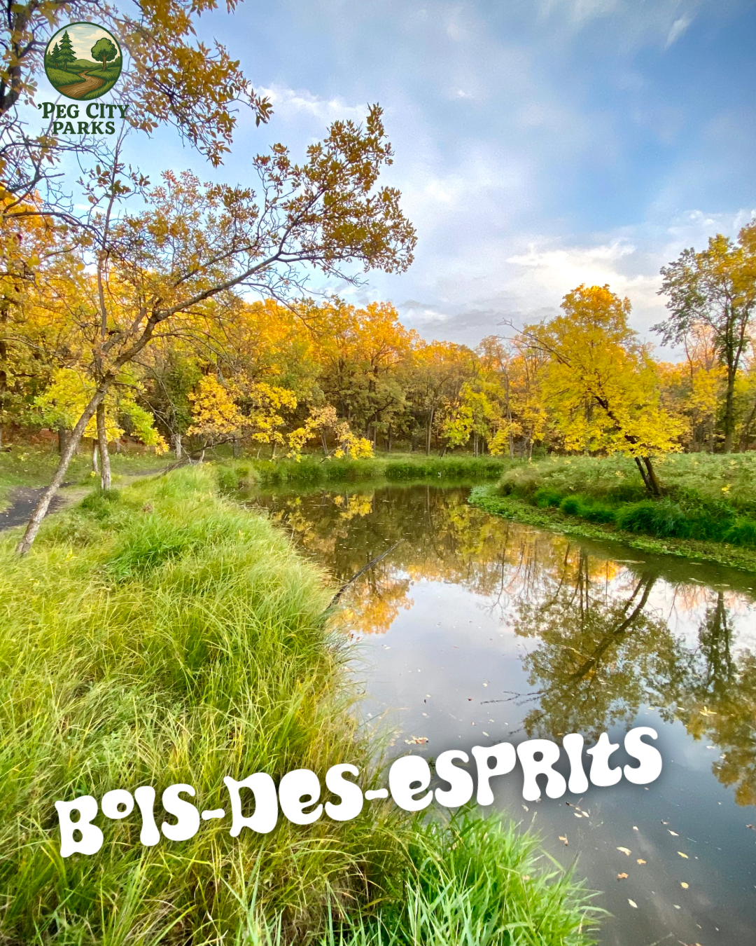 Image of the Seine River in fall on the Bois des esprits trail.