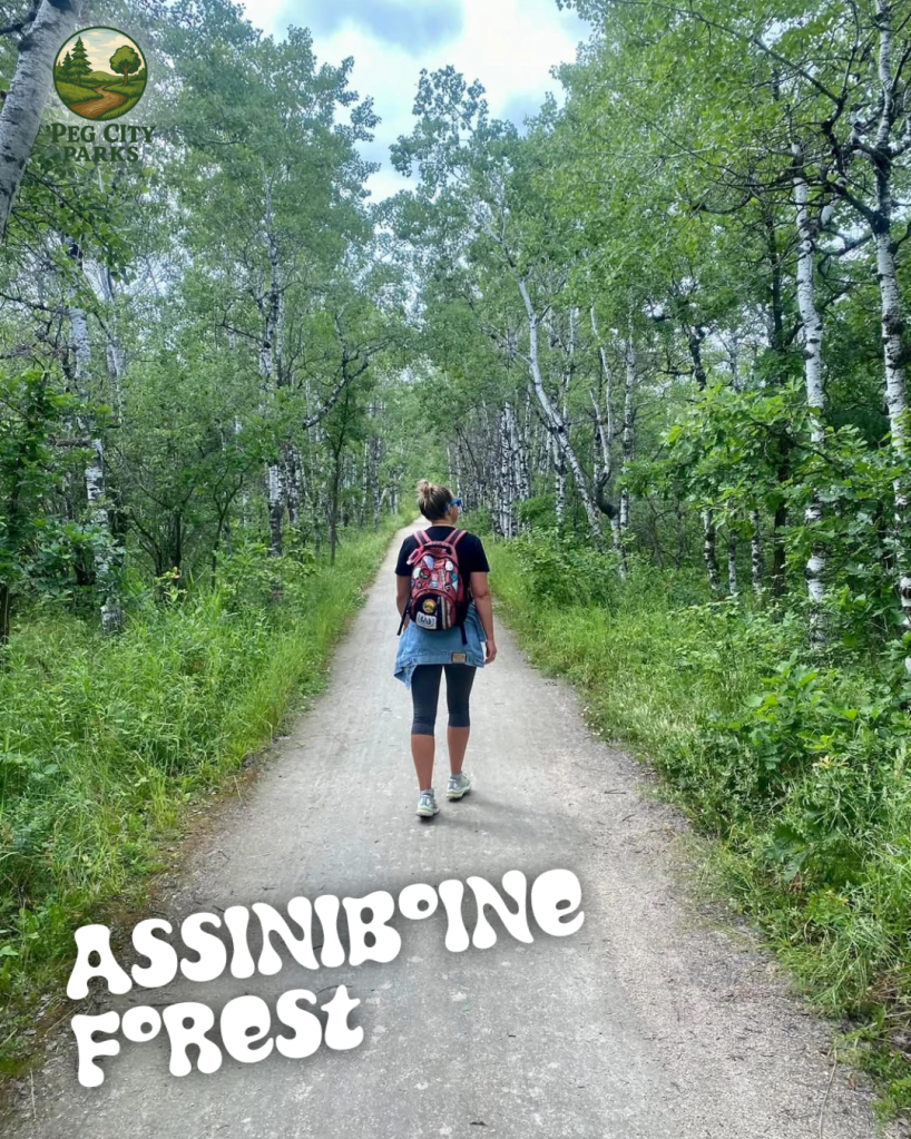 Image of a person walking on a trail in Assiniboine Forest