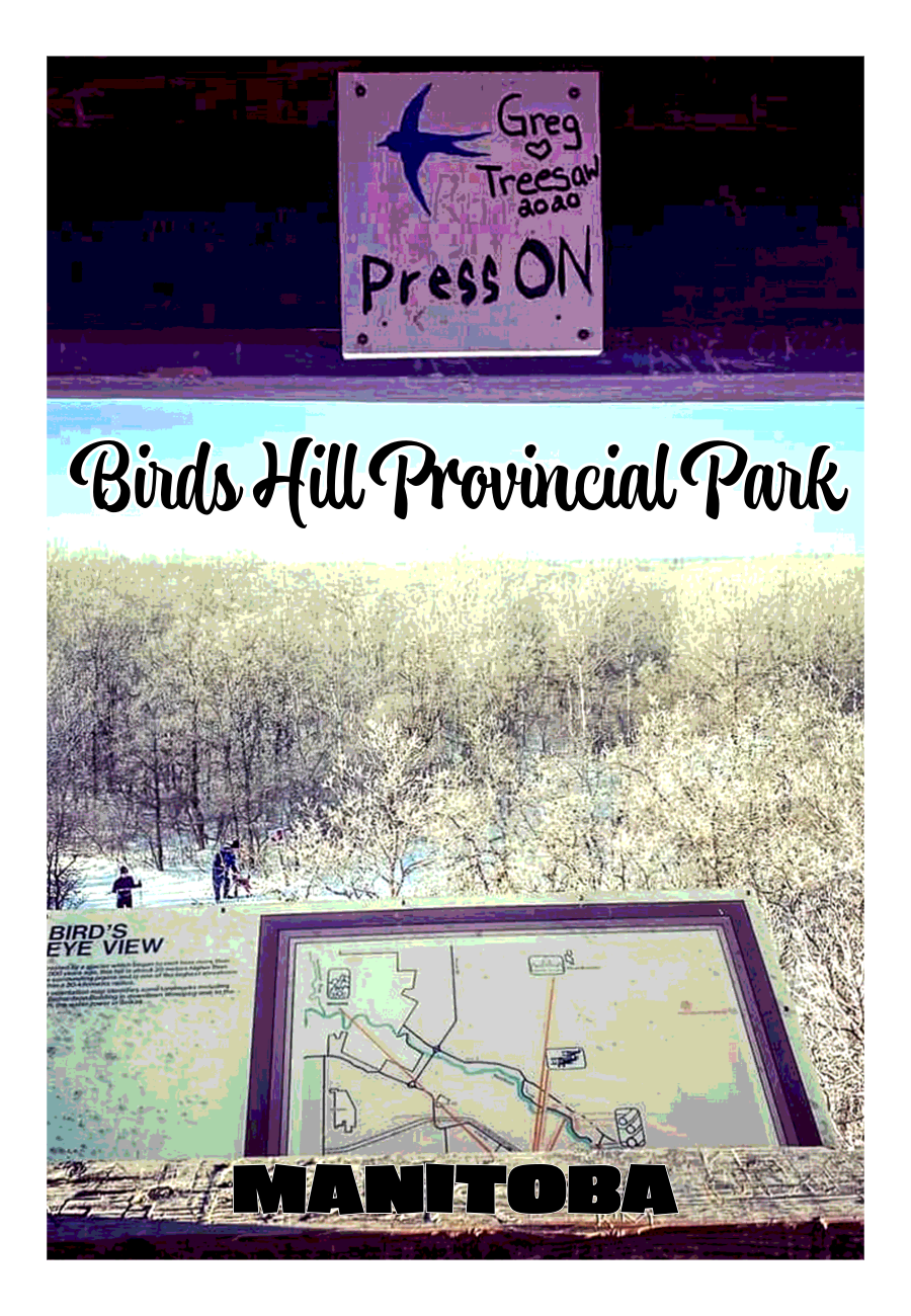 Image of the Birds Hill Park product available for purchase.